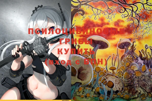 тгк Арсеньев