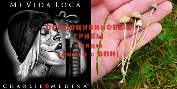mdpv Алексин