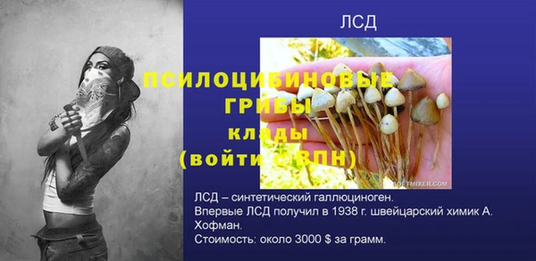 тгк Арсеньев