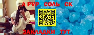 шишки Новодвинск
