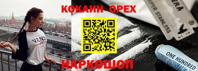 шишки Новодвинск