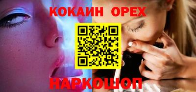 шишки Новодвинск