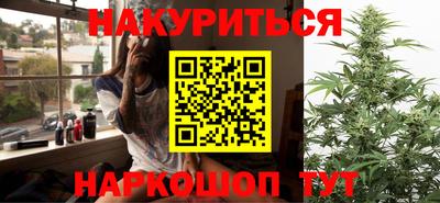 шишки Новодвинск