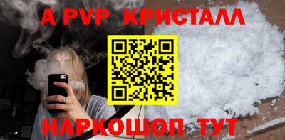 шишки Новодвинск