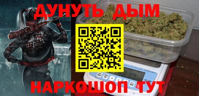 шишки Новодвинск