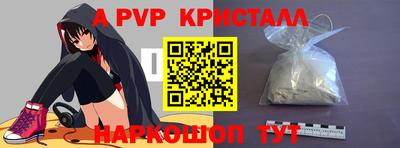 шишки Новодвинск