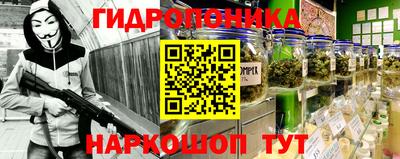 гидропоника Новозыбков